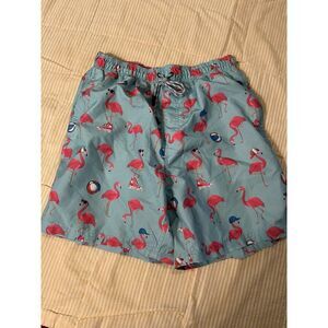 Broken Threads Size Small Swim‎ Trunks NWOT Flamingo Beachball